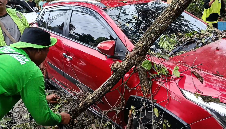 Pohon Tumbang Timpa Dua Mobil di Jalan TMP Tangerang
