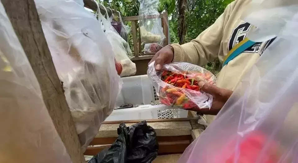 Harga Cabai Oranye di Lebak Tembus Rp120 Ribu per Kilo
