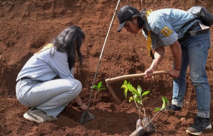 Pertamina Tanam 1.300 Pohon Saninten di Bandung Utara