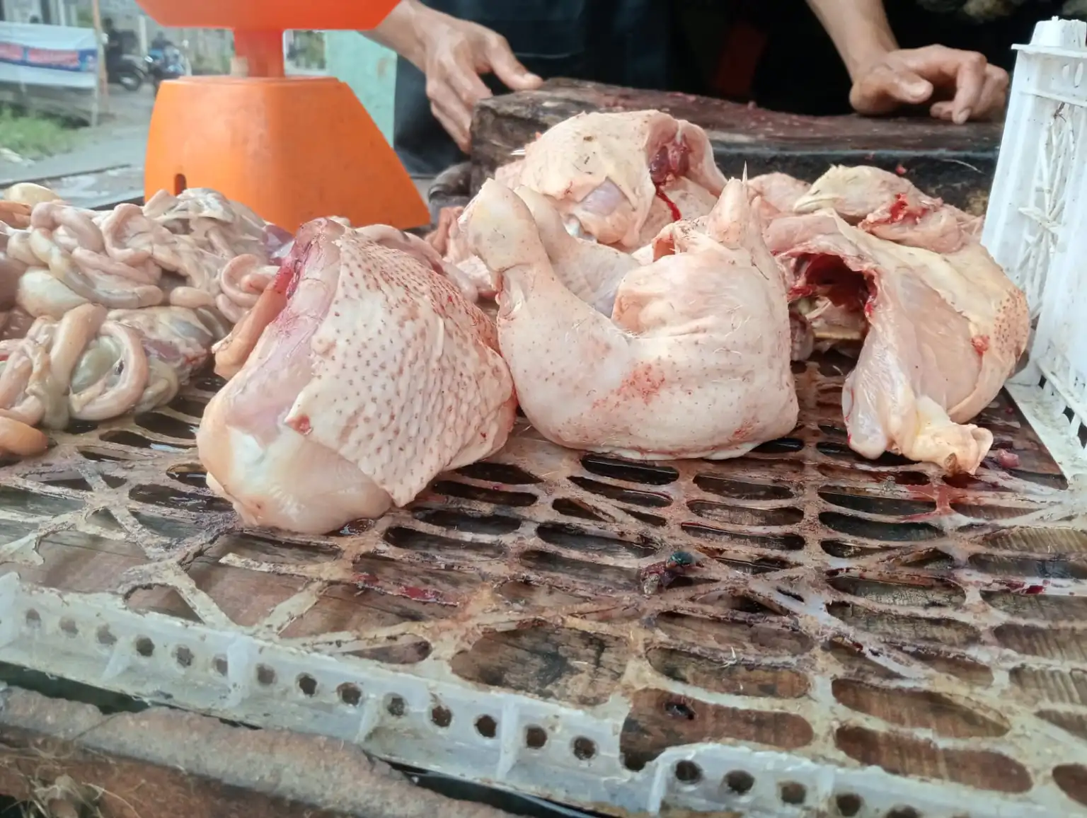 Menjelang Lebaran, Harga Daging Ayam di Kerinci Tidak Memberatkan Kantong Pelanggan