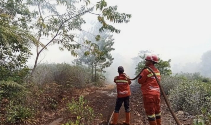 “5 Kabupaten di Riau Tetapkan Status Siaga Karhutla”