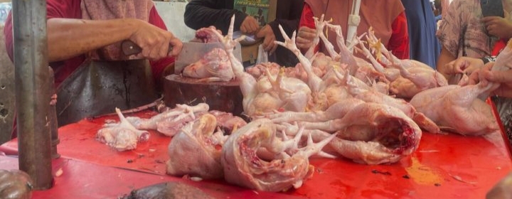 Dharma Jaya Tekan Harga Ayam di Jakarta
