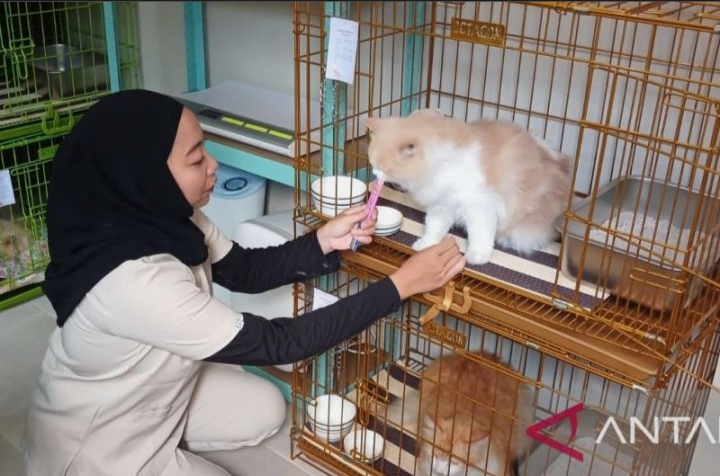 Penitipan Hewan di Kediri Ramai Jelang Mudik Lebaran