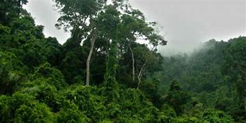 Balai TNKS Hanya Miliki 200 Personel, Pengawasan Kawasan Hutan