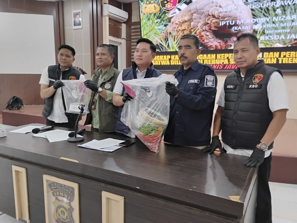 Polisi Amankan Dua Pelaku Perdagangan Sisik Trenggiling di Muaro Jambi