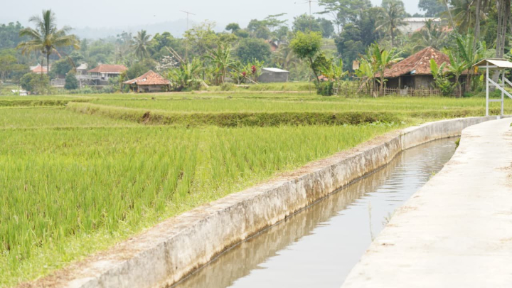 El Nino Mengintai, Mentan Amran Percepat Langkah Selamatkan Produksi Pangan