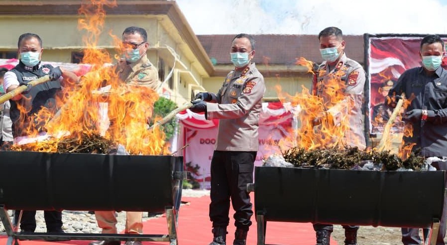 polda Sumsel Pimpin Pemusnahan 200 Kg Ganja, Jaringan Narkoba Diburu hingga DPO