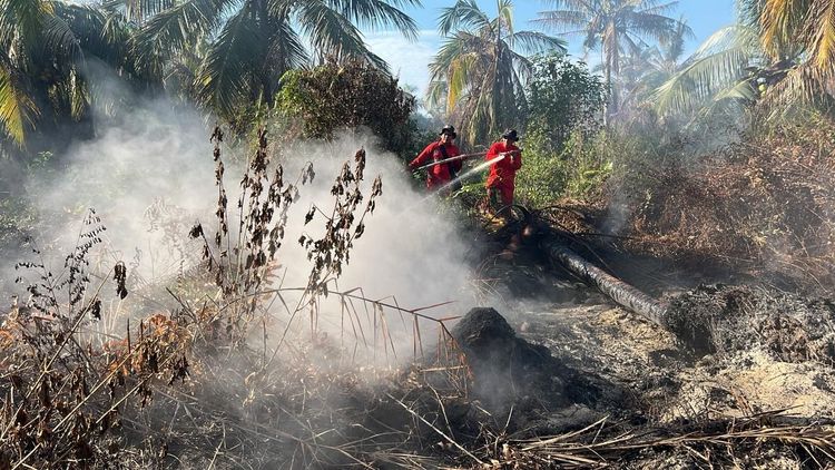 Karhutla Mengancam Lahan Gambut Sumatera, Tim Gabungan Bergerak Cepat Padamkan Api