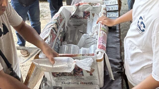 Ribuan Benih Lobster Hasil Sitaan Polresta Jambi Dilepasliarkan ke Habitat Baru