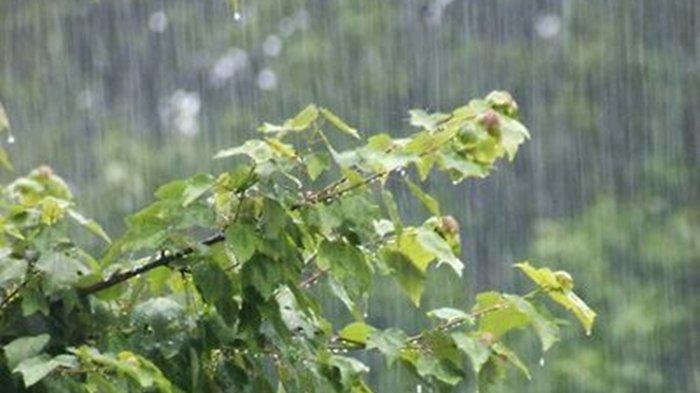 BMKG Prediksi Hujan Ringan Guyur Kerinci dan Sungai Penuh Sore Ini