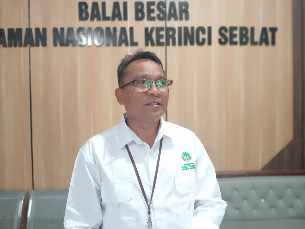 BB TNKS Lawan Peti di Kawasan Konservasi,3 Lokasi di Razia Selama 2026