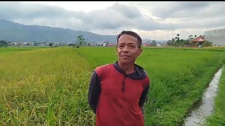 Puluhan Tahun Terbengkalai, Irigasi Cangkin di Desa Gedang Ancam Hasil Panen Petani