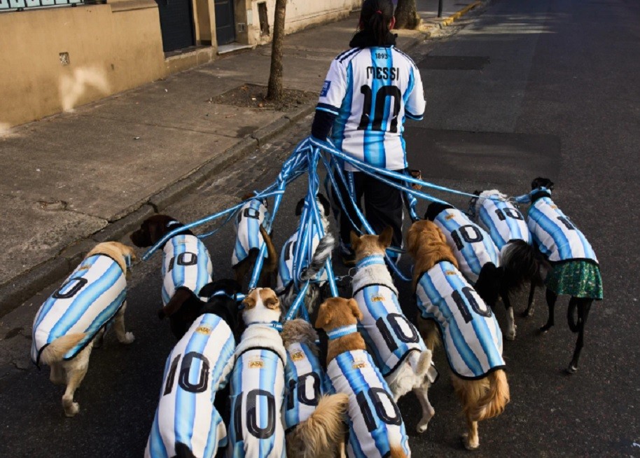 Unik! Pengasuh Anjing di Argentina Dandani 13 Anjing dengan Jersey Timnas