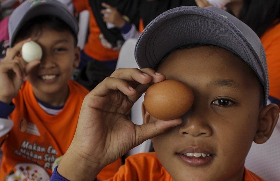 Rutin Makan Telur Rebus Setiap Hari? Simak 5 Perubahan yang Terjadi pada Tubuh