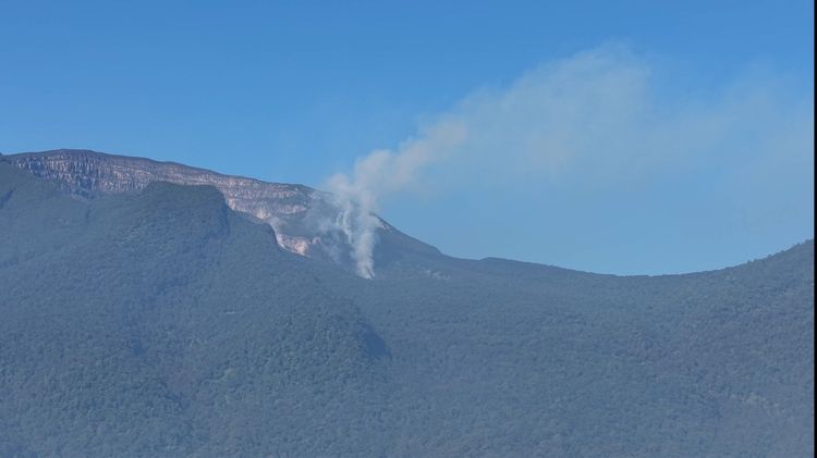 Kebakaran Surya Kencana Padam, Kemenhut Tutup Sementara Jalur Pendakian Gunung Gede