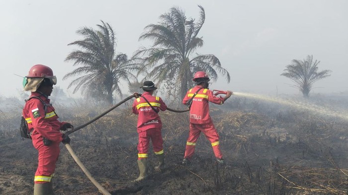 200 Hektare Gambut Hangus, Karhutla Sungai Gelam Jadi Perburuan Bara di Bawah Tanah