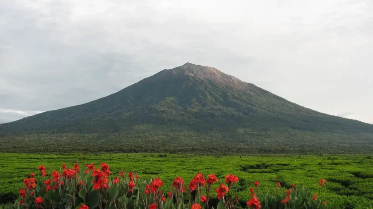 Karhutla Mengintai,Jalur Pendakian Gunung Api Kerinci Masih di Tutup Untuk Pengunjung