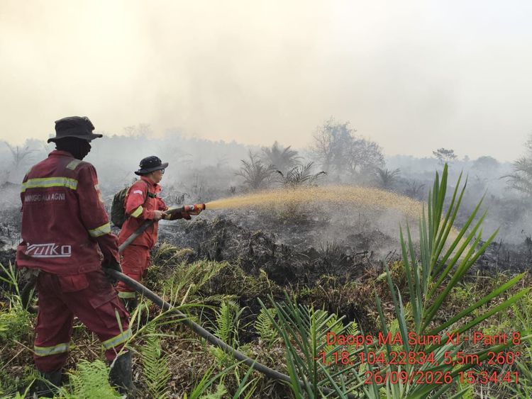 Hotspot Karhutla Naik, Kalsel dan Sumsel Jadi Perhatian Kemenhut