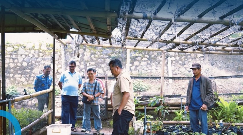 Monadi Sambangi Kebun Nilam, Komoditas Kerinci Ini Punya Peluang Tembus Pasar Lebih Luas