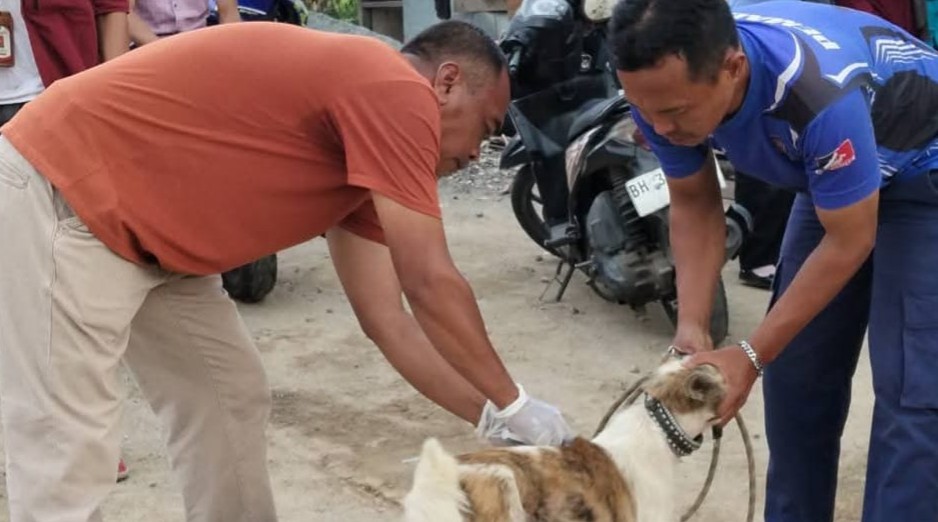 Vaksinasi Rabies Capai 80 Persen, Petugas Sisir Wilayah yang Belum Terjangkau